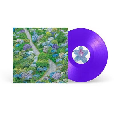 Fiddlehead - Between The Richness [Vinyl]