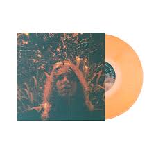 Turnover - Peripheral Vision [Vinyl]