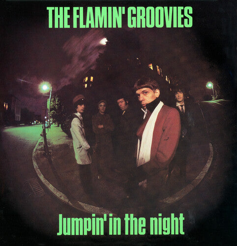 Flamin' Groovies - Jumpin' In The Night [Vinyl]