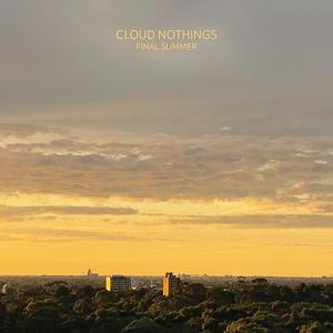 Cloud Nothings - Final Summer [Vinyl]