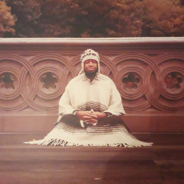 Laraaji - Segue To Infinity [Vinyl Box Set]