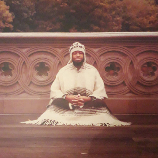 Laraaji - Segue To Infinity [Vinyl Box Set]