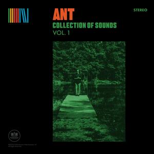 Ant - Collection Of Sounds Vol 1 [Vinyl]