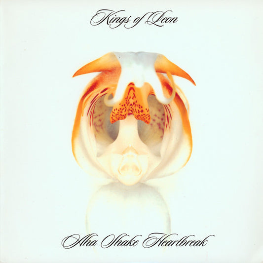 Kings Of Leon - Aha Shake Heartbreak: 2CD [CD] [Second Hand]
