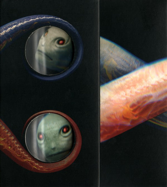 Tool - Vicarious [DVD]