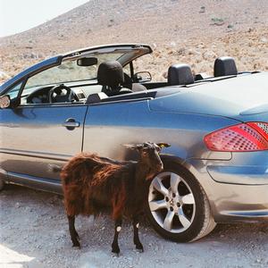 Exek - Prove The Mountains Move [Vinyl]