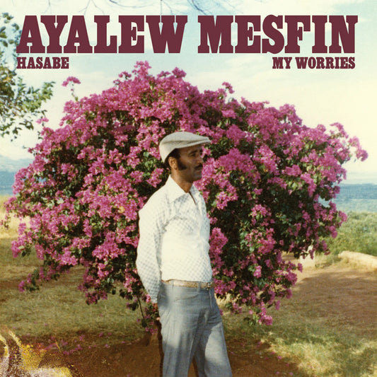 Mesfin, Ayalew - Hasabe-My Worries [Vinyl]