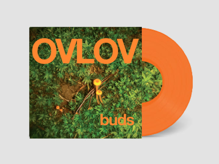 Ovlov - Buds [Vinyl]