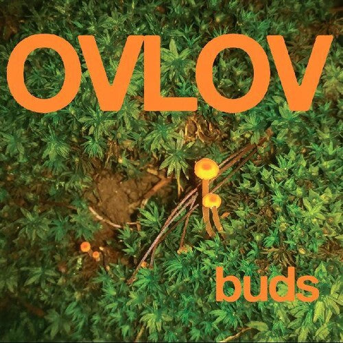 Ovlov - Buds [Vinyl]