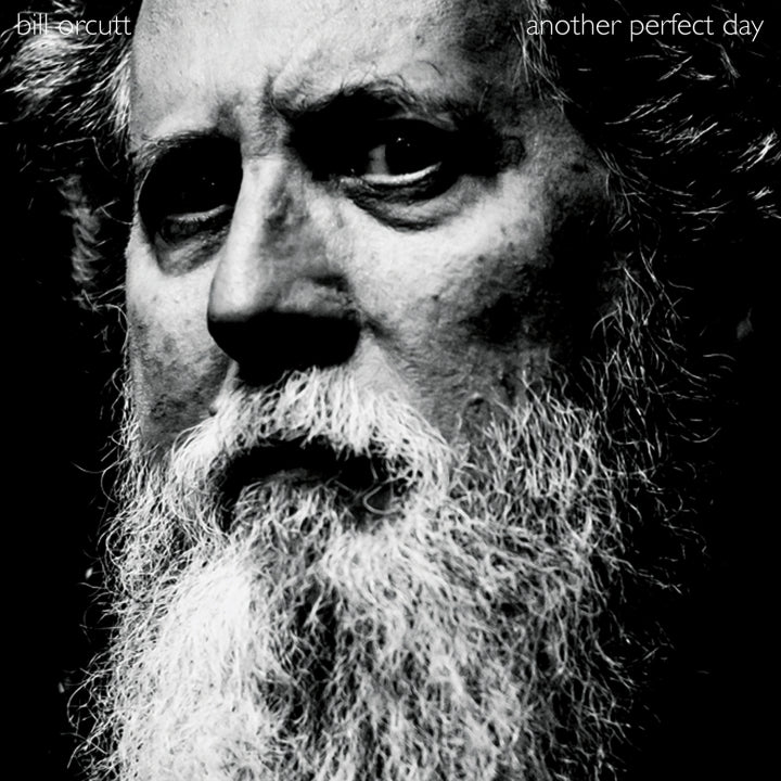 Orcutt, Bill - Another Perfect Day [Vinyl]