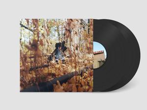 Woods, Billy - Golliwog [Vinyl]