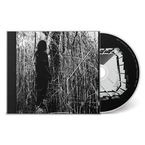Woods, Billy - Today, I Wrote Nothing [CD]