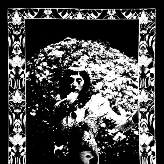 Cindy Lee - Model Express [Vinyl]