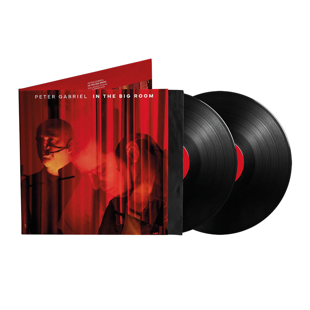 Gabriel, Peter - In The Big Room [Vinyl]