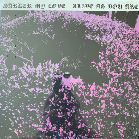 Darker My Love - Alive As You Are [CD] [Second Hand]