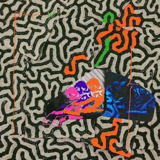 Animal Collective - Tangerine Reef [CD]