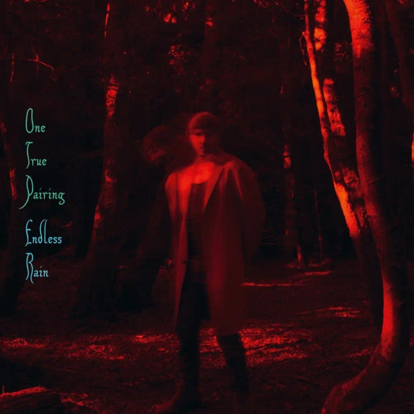 One True Pairing - Endless Rain [Vinyl]
