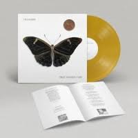 Villagers - That Golden Time [Vinyl]