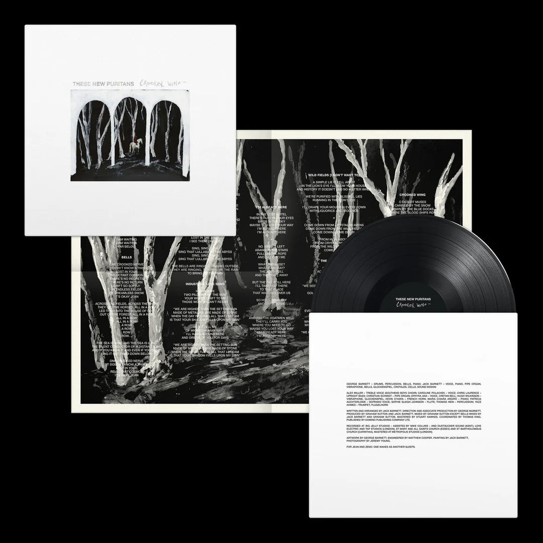 These New Puritans - Crooked Wing [Vinyl]