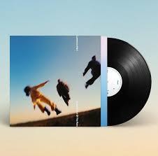 Hart, Lawrence - Come In Out Of The Rain [Vinyl]