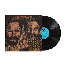 Visitors - Motherland [Vinyl]