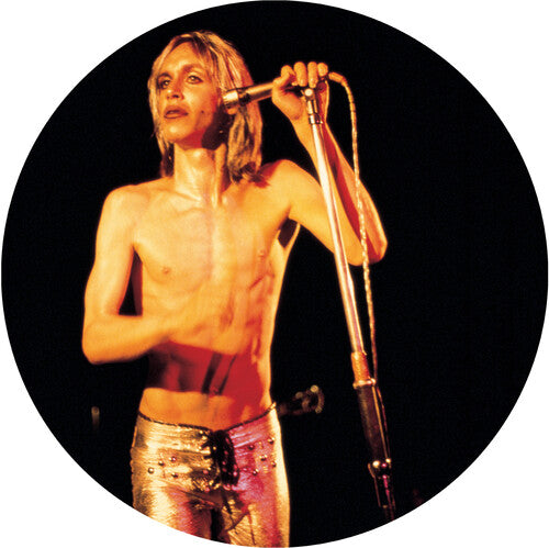 Iggy And The Stooges - More Power [Vinyl]