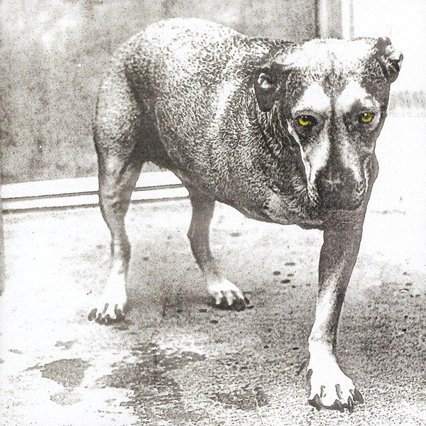 Alice In Chains - Alice In Chains [CD]