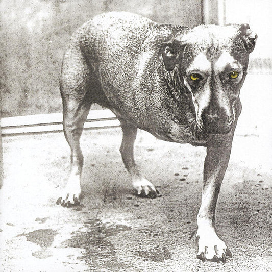 Alice In Chains - Alice In Chains [CD] [Second Hand]