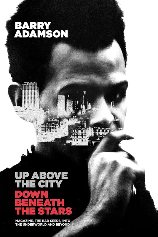 Adamson, Barry - Up Above The City, Down Beneath The [Book]