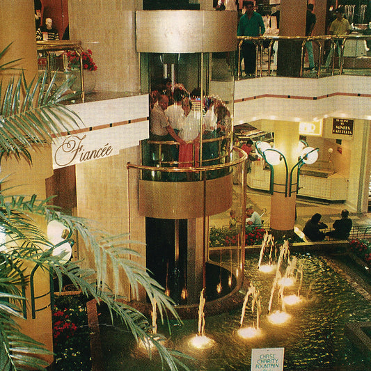 FiancÉe - FiancÉe [Vinyl]