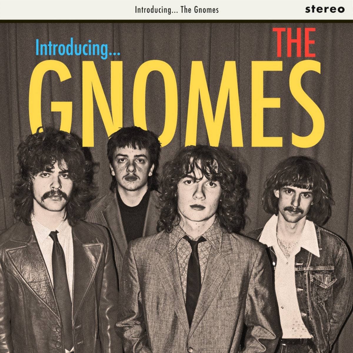 Gnomes - Introducing... [Vinyl]