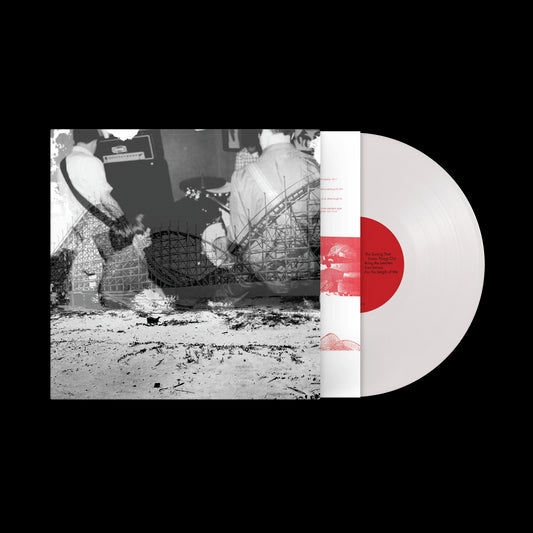 Nuzzle - Follow, For Now [Vinyl]