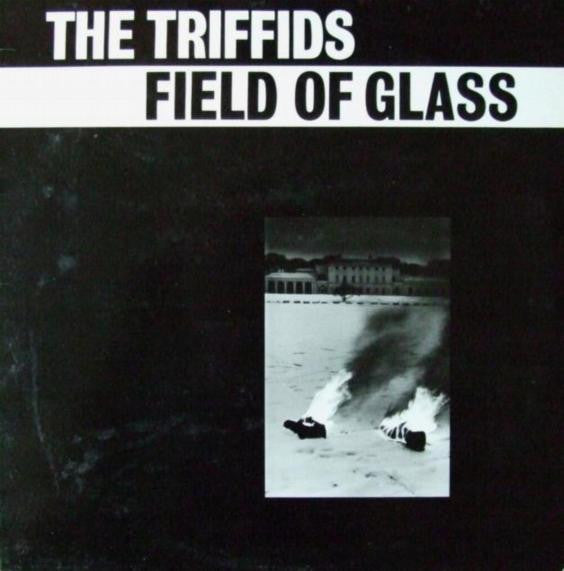 Triffids - Field Of Glass [12 Inch Single] [Second Hand]