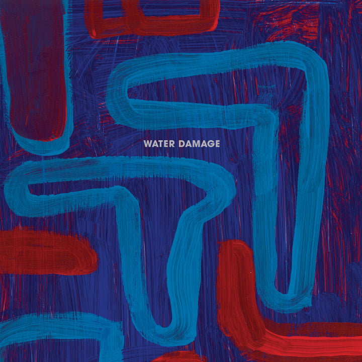 Water Damage - Instruments [Vinyl]