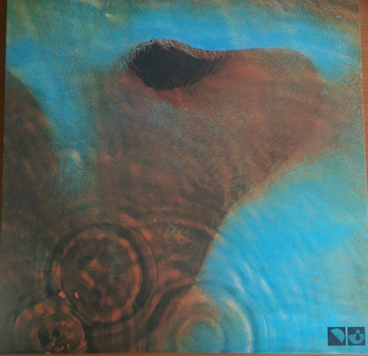Geesin, Ron and Roger Waters - Music From The Body [Vinyl] [Second Hand]