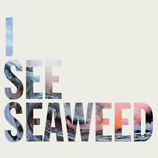 Drones - I See Seaweed [CD]