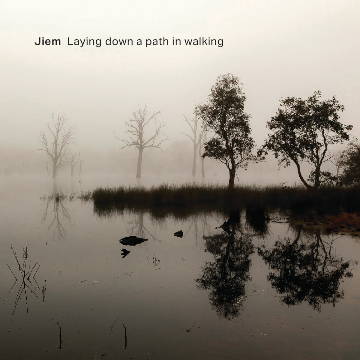 Jiem - Laying Down A Path In Walking [CD]