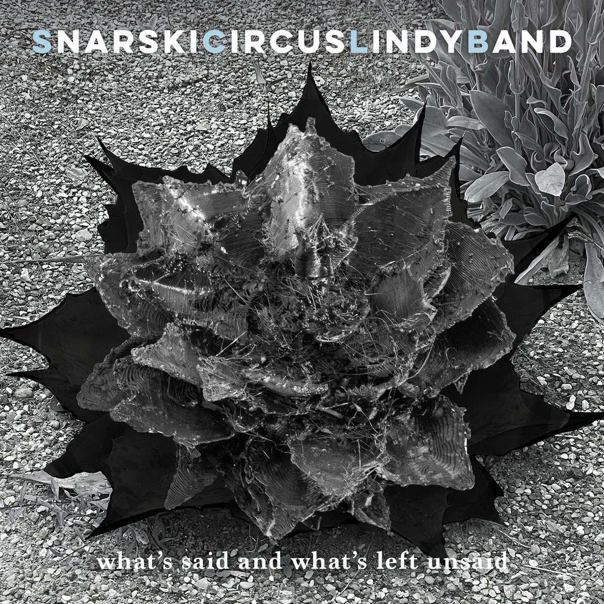 Snarskicircuslindyband - What's Said And What's Left Unsaid [Vinyl]