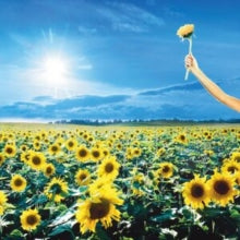 Stone Temple Pilots - Thank You [CD] [Second Hand]