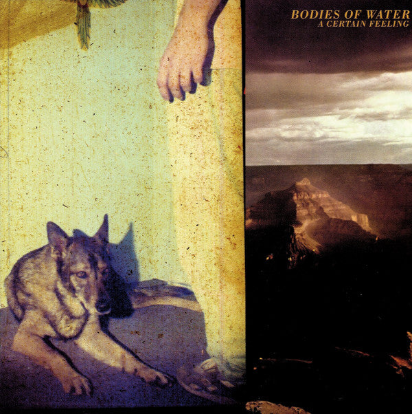 Bodies Of Water - A Certain Feeling [CD] [Second Hand]