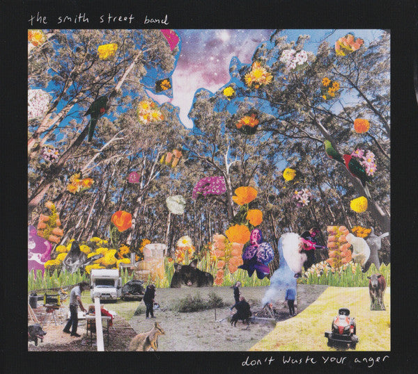 Smith Street Band - Don't Waste Your Anger [Vinyl]