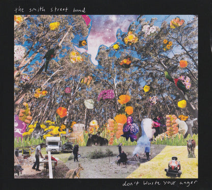 Smith Street Band - Don't Waste Your Anger [Vinyl]