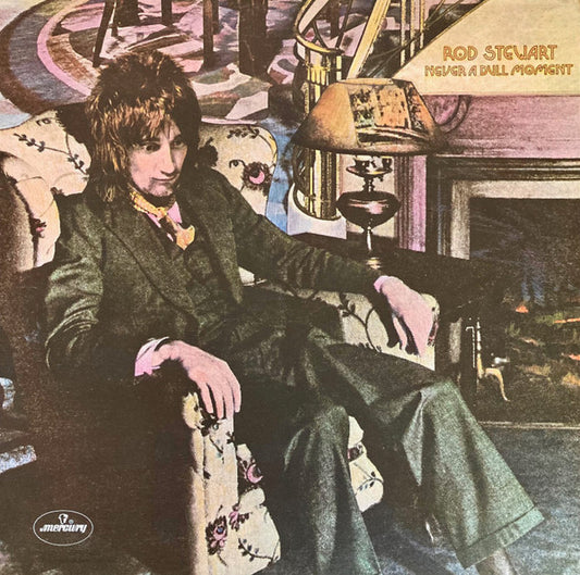 Stewart, Rod - Never A Dull Moment [Vinyl] [Second Hand]