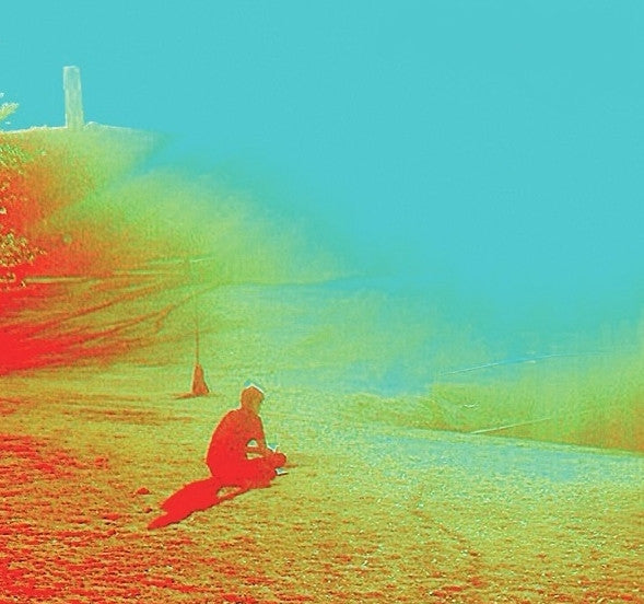 Flaming Lips - Terror [CD] [Second Hand]