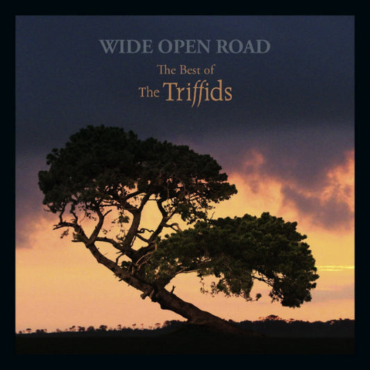 Triffids - Wide Open Road: The Best Of [CD] [Second Hand]