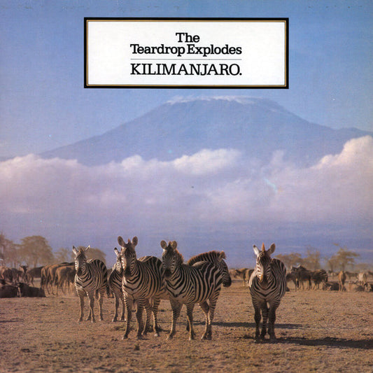 Teardrop Explodes - Kilimanjaro [Vinyl] [Second Hand]