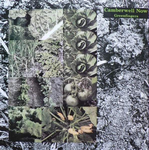 Camberwell Now - Greenfingers [12 Inch Single] [Second Hand]