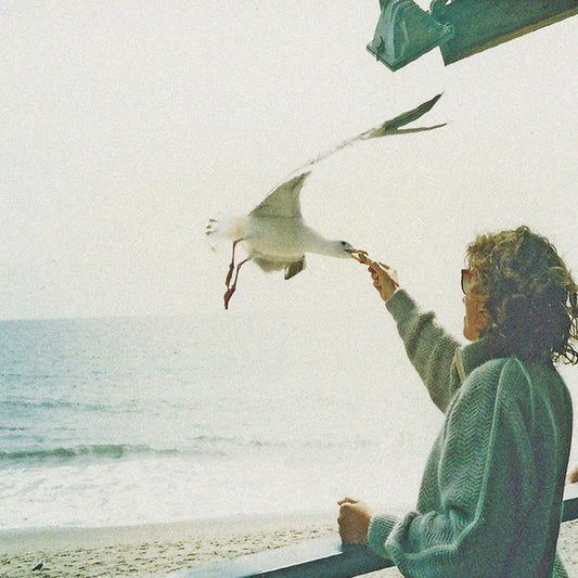 Closet Straights - Closet Straights [Vinyl]