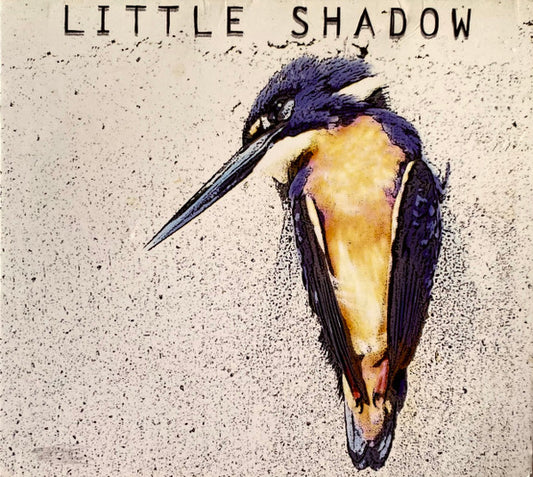 Little Shadow - Possessions [CD]