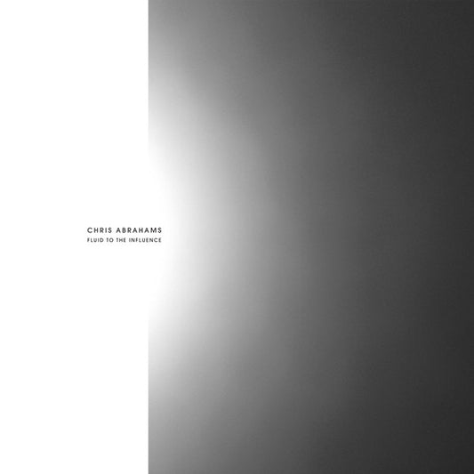 Abrahams, Chris - Fluid To The Influence [Vinyl] [Second Hand]
